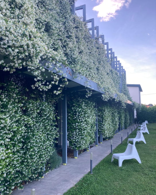 Esterno MSP Rooms, gelsonimo